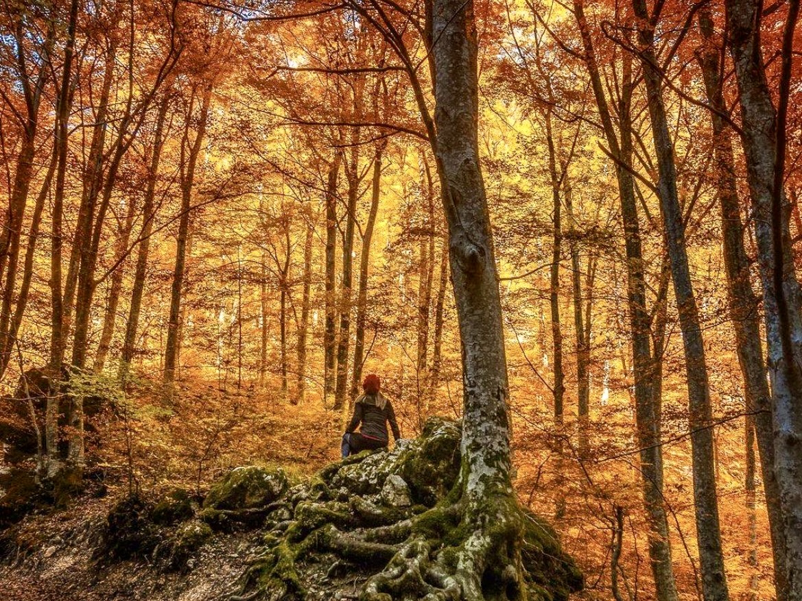 foliage nelle marche, glamping nelle marche, dormire in una botte, dormire in una yurta