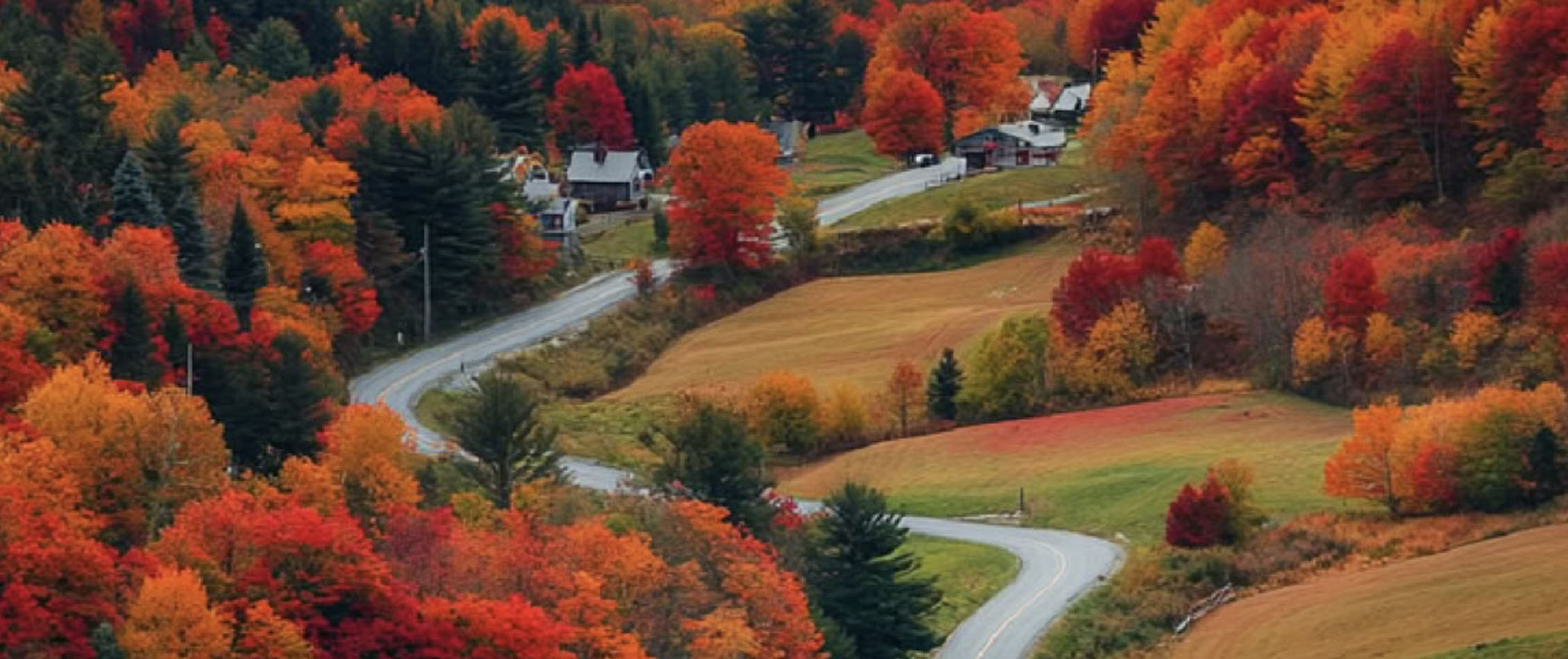 glamping nelle marche, fogliage, luoghi più suggestivi per ammirare il foliage